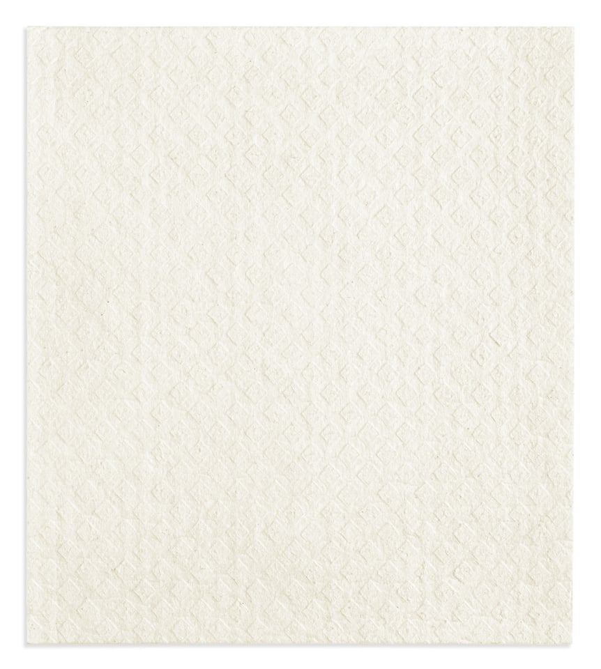 Happy Campers Swedish Dishcloth