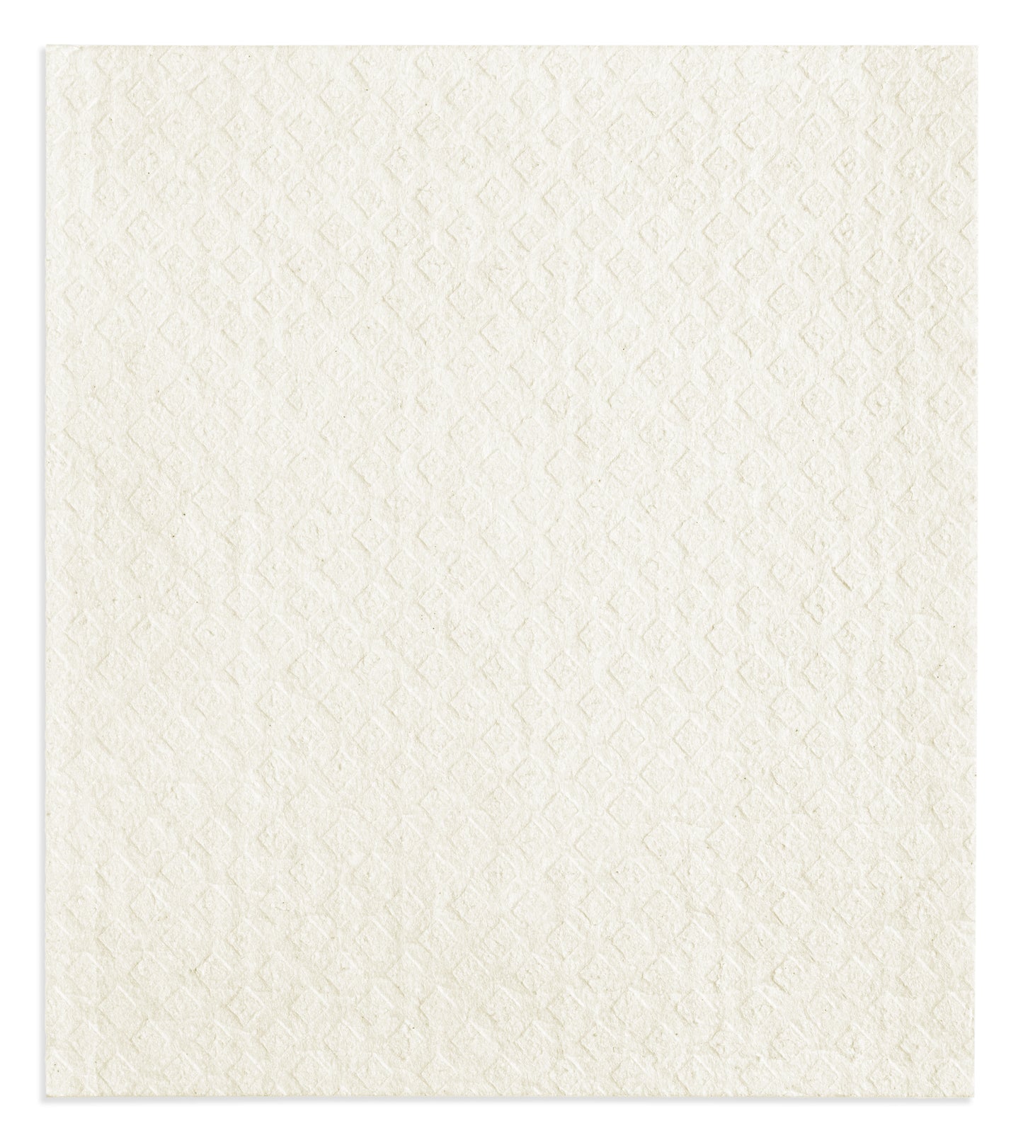 Ice Houses Swedish Dishcloth