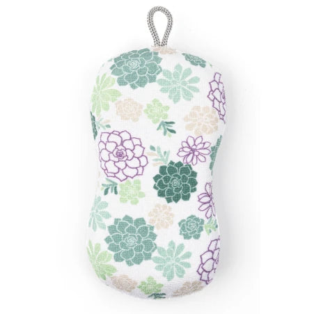 Succulents Designer Scrub Sponge